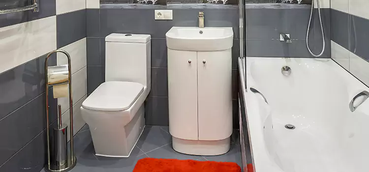 Hansgrohe Shaving Mirror Greenwood